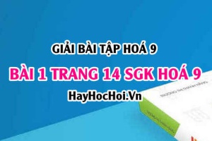 Giải bài 1 trang 14 SGK Hoá 9: Tính chất hoá học của Axit